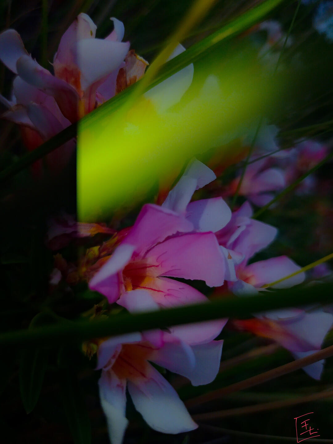 Eye Strain v1