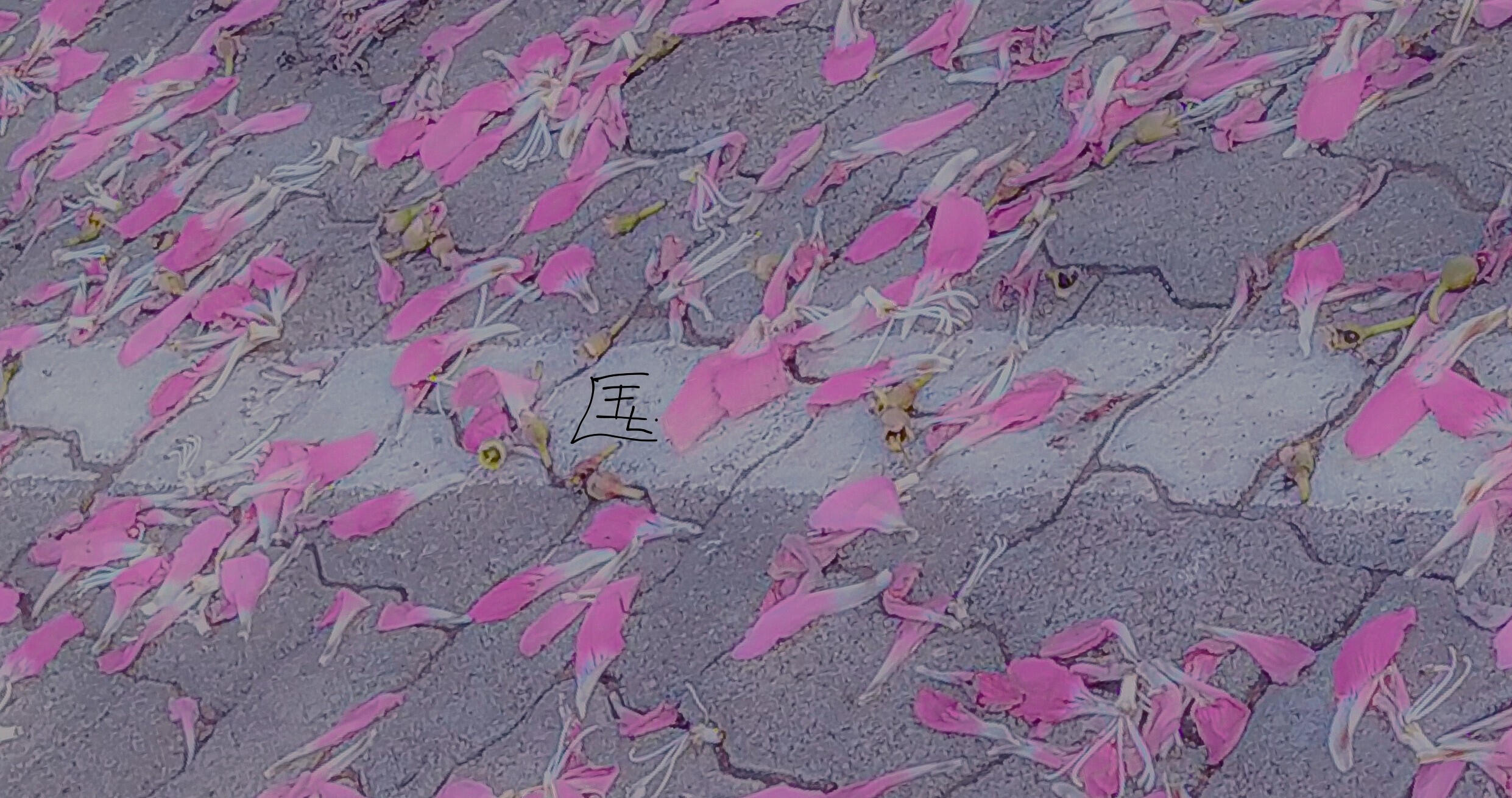 Love's petals