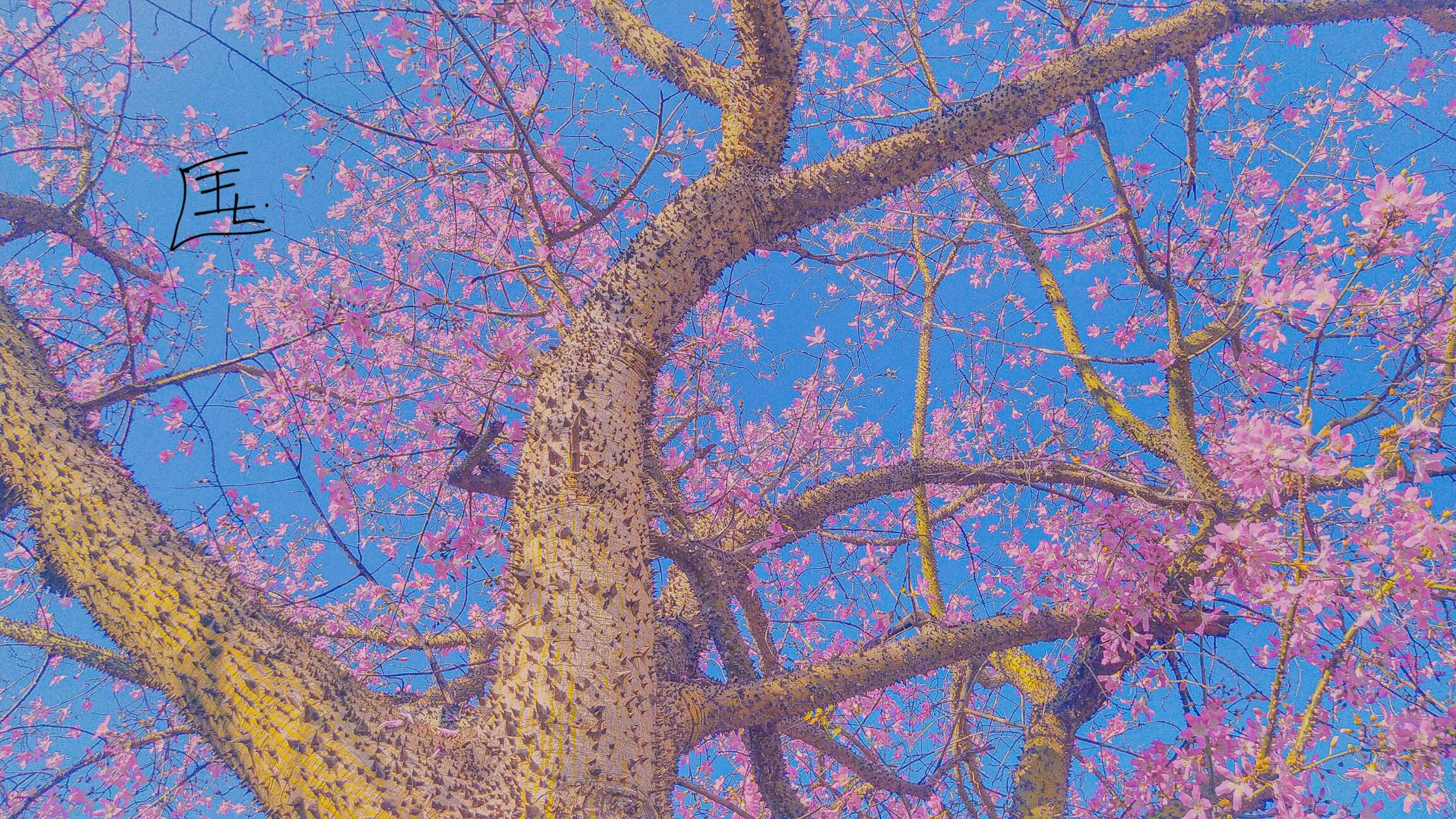 Barbie's Tree